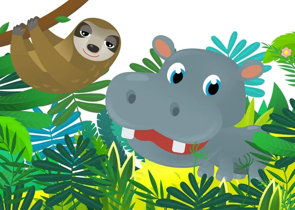Cartoon Dzikie Zwierzę Szczęśliwy Młody Hipopotam Hipopotam Dżungli Izolowane Ilustracja — Zdjęcie stockowe