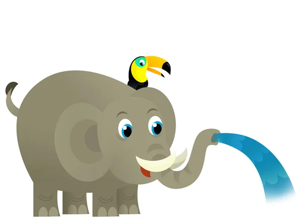 Desenho Animado Selvagem Feliz Jovem Elefante Derramando Água Com Outros — Fotografia de Stock