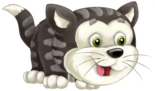 Dibujos Animados Granja Happyt Gato Doméstico Ciudad Divertirse Ilustración Aislada —  Fotos de Stock