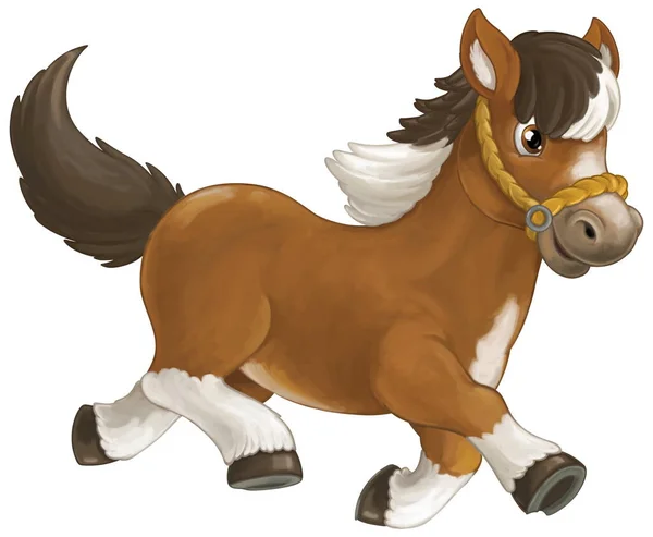 Cavalo Feliz Dos Desenhos Animados Está Correndo Pulando Sorrindo Olhando — Fotografia de Stock