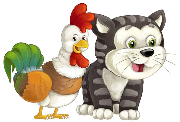Cartoon Happyt Farm City Domestic Cat Rooster Having Fun Isolated — Stock Photo, Image