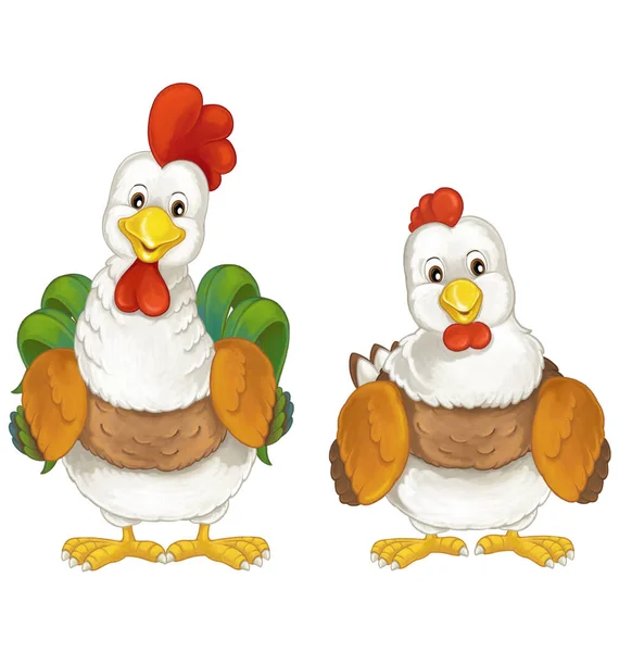 Cartoon funny bird chicken hen isolated isolated illustration for kids