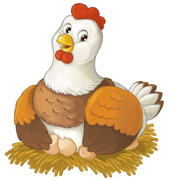 Cartoon funny bird chicken hen isolated isolated illustration for kids