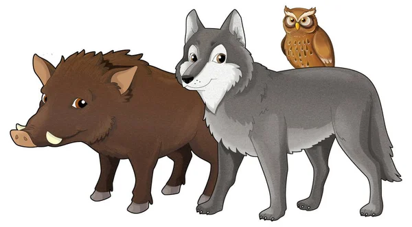 Kreskówka Dziki Wilk Lub Pies Dzik Sowa Izolowane Ilustracja Dla — Zdjęcie stockowe