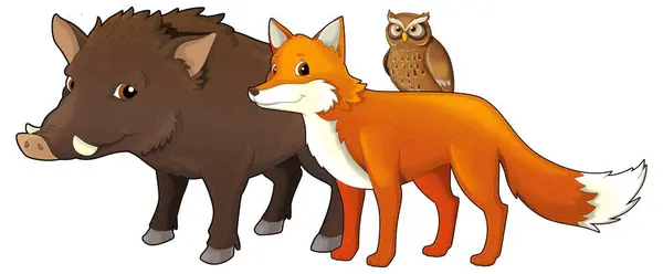 动画片野生动物狼或狗快乐的狐狸和猫头鹰为孩子们单独画的图解 — 图库照片