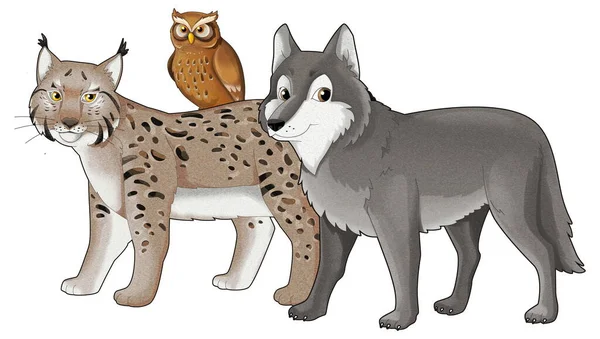 Kreskówka Dzikie Zwierzę Wilk Lub Pies Dziki Kot Ryś Izolowane — Zdjęcie stockowe