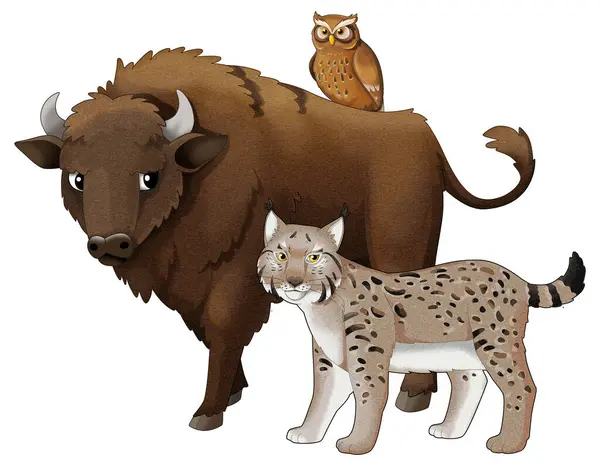 Dessin Animé Animaux Sauvages Bison Aurochs Lynx Illustration Isolée Pour — Photo