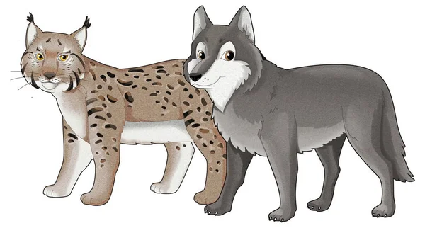 Cartoon Wild Animal Wolf Dog Wild Cat Lynx Isolated Illustration — Stock Photo, Image