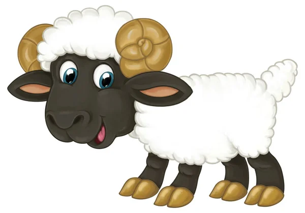 Karikatur Glückliches Nutztier Fröhliche Schafe Isolierte Illustration Für Kinder — Stockfoto