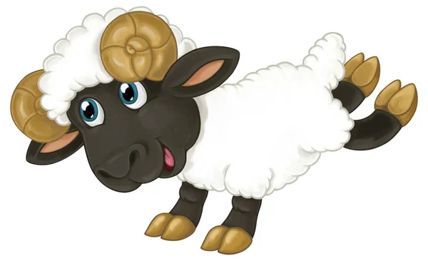 Dessin Animé Animal Ferme Heureux Moutons Gai Illustration Isolée Pour — Photo