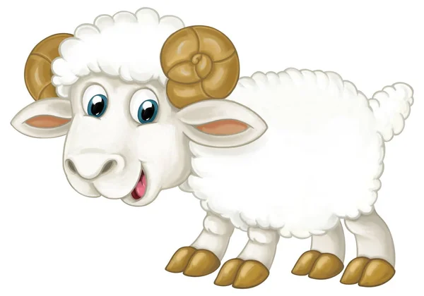 Γελοιογραφία Χαρούμενο Ζώο Αγρόκτημα Χαρούμενα Πρόβατα Απομονωμένη Εικόνα Για Παιδιά — Φωτογραφία Αρχείου