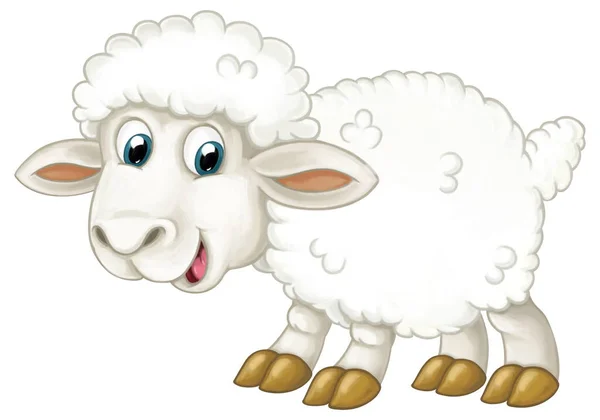 Cartoon Šťastný Farma Zvíře Veselá Ovce Izolované Ilustrace Pro Děti — Stock fotografie