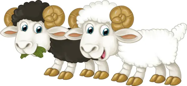 Karikatur Glückliches Nutztier Fröhliches Paar Schafe Isolierte Illustration Für Kinder — Stockfoto