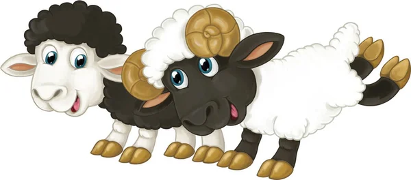 卡通画快乐农场动物一对快乐的羊给孩子们看 — 图库照片