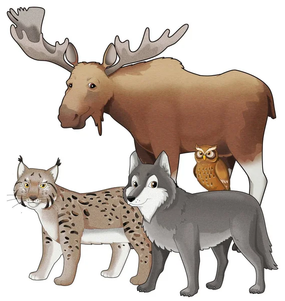 Cartoon wild animal wolf or dog and wild cat lynx with moose isolated illustration for children