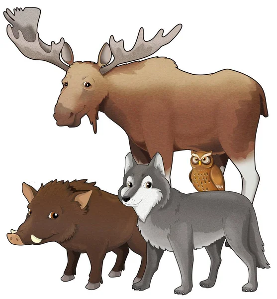 Cartoon wild animal wolf or dog wild boar and owl with moose isolated illustration for children