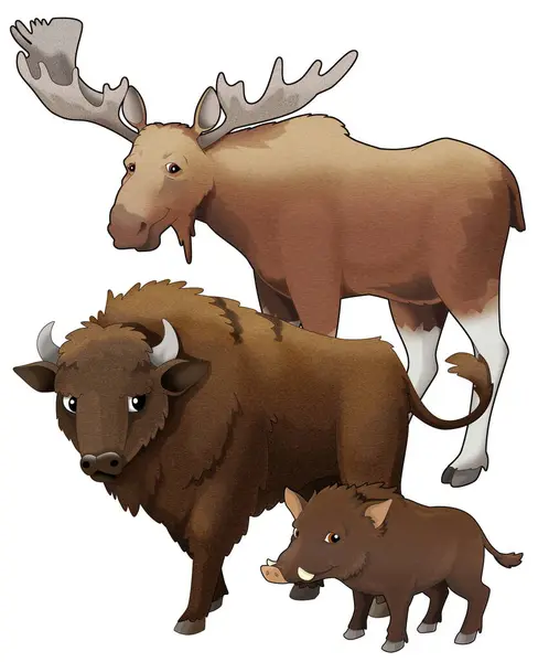 Γελοιογραφία Άγριο Ζώο Bison Aurochs Και Αγριόχοιρος Άλκη Απομονωμένη Απεικόνιση — Φωτογραφία Αρχείου
