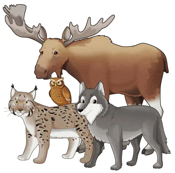 Cartoon wild animal wolf or dog and wild cat lynx with moose isolated illustration for children