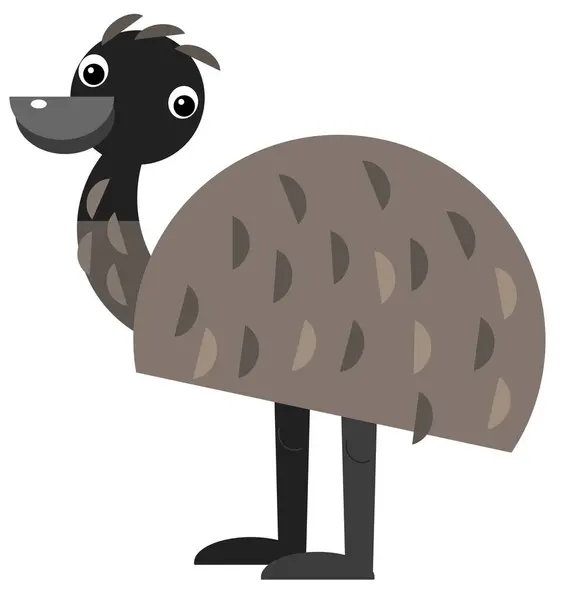 Cartoon Australian Animal Emu White Background Illustration — Stock Photo, Image
