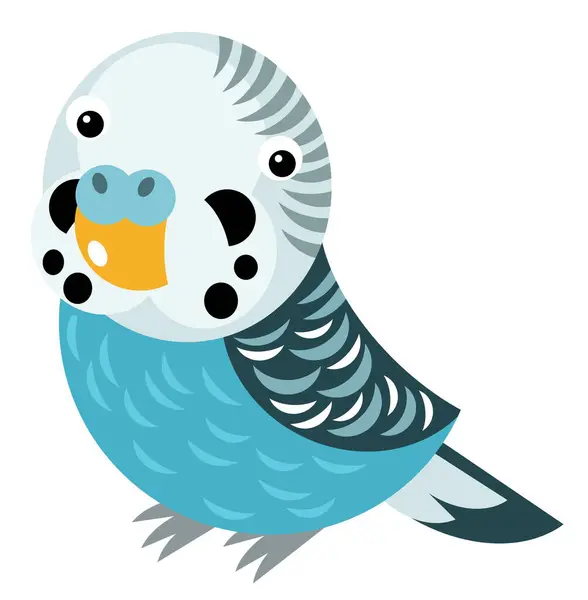Cartoon Australische Dier Vogel Papegaai Witte Achtergrond Illustratie — Stockfoto