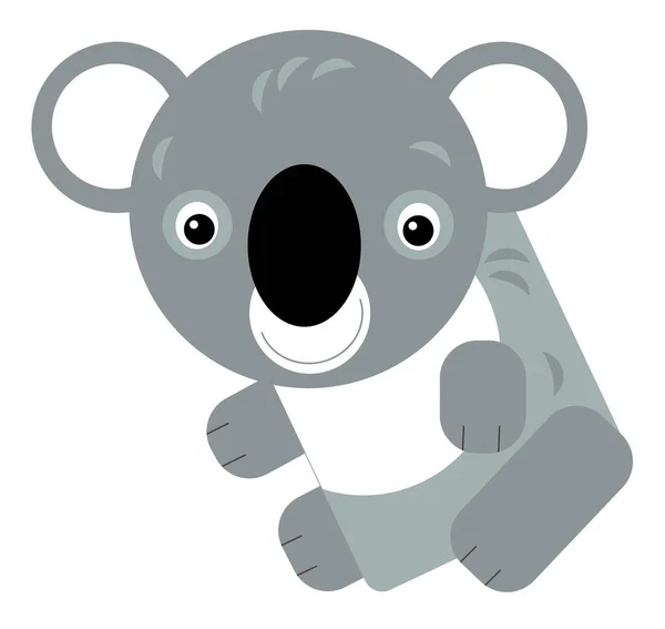 Cartoon Australische Scene Met Vrolijke Grappige Koala Witte Achtergrond Illustratie — Stockfoto