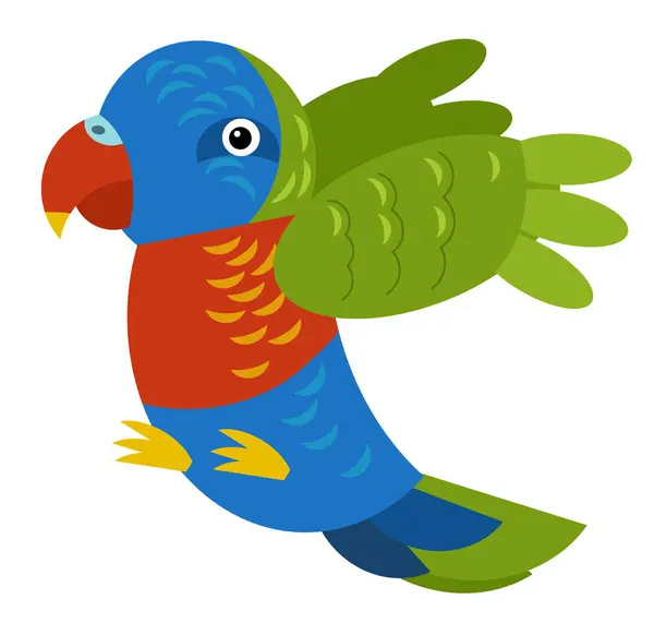 Cartoon australian animal bird parrot on white background illustration