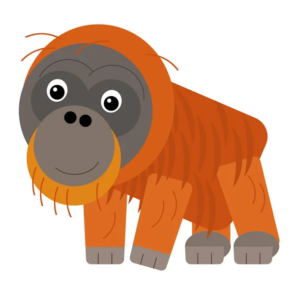 cartoon asian scene with asian animal monkey ape orangutan isolated illustration for kids