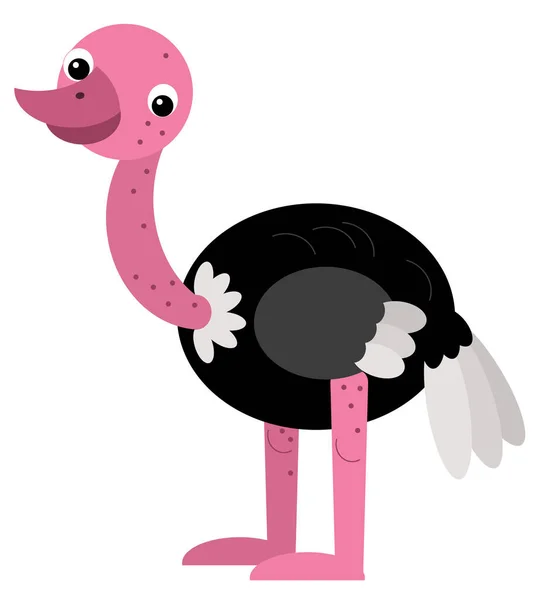 Cartoon Happy Animal Bird Ostrich Safari Isolated Illustration Kids — Stock Photo, Image