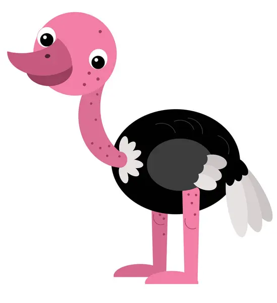 Cartoon Happy Animal Bird Ostrich Safari Isolated Illustration Kids — Stock Photo, Image