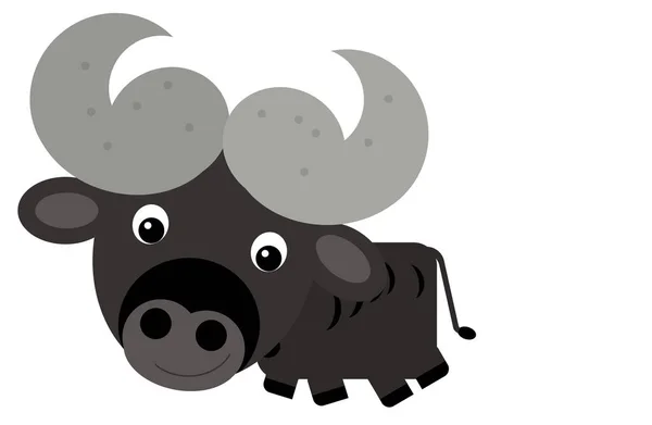 Karikatur Glücklich Nutztier Fröhlich Büffel Isoliert Safari Illustration Für Kinder — Stockfoto