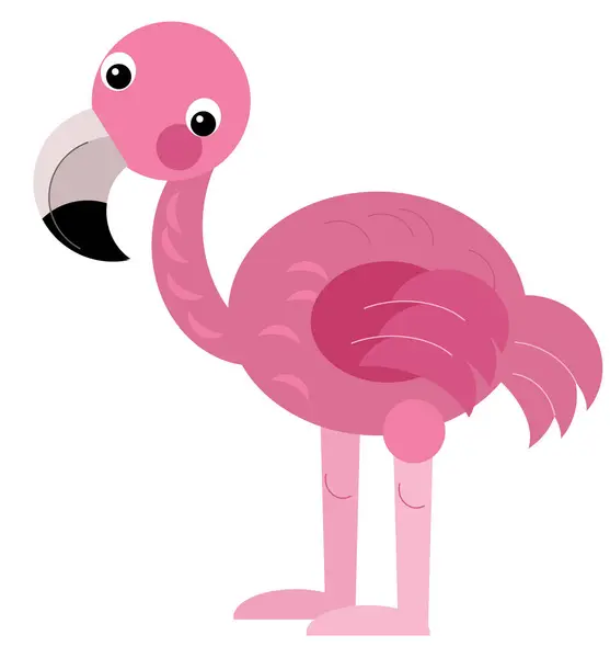 Cartoon Animal Happy Tropical Bird Flamingo Isolated Illustration Kids — Stock Photo, Image