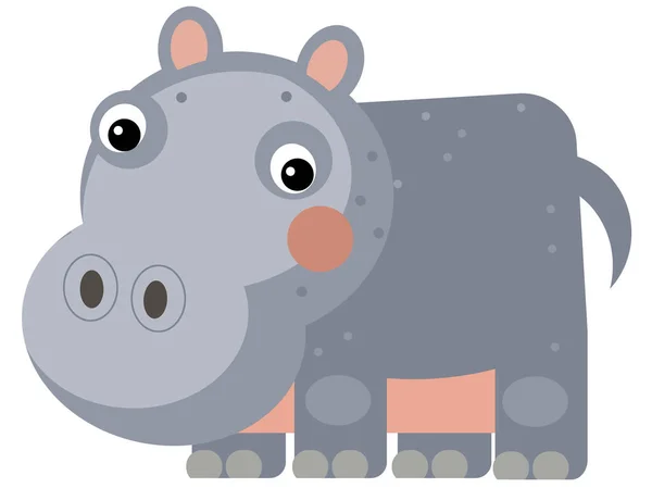 Escena Dibujos Animados Con Hipopótamo Feliz Hipopótamo Buscando Ilustración Aislada —  Fotos de Stock
