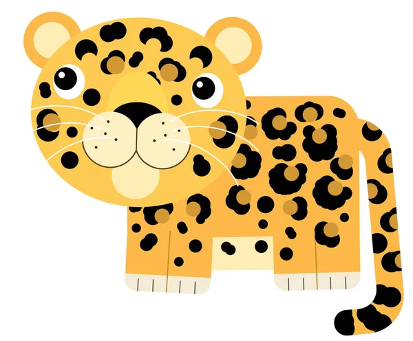 cartoon scene with happy tropical animal cat jaguar cheetah isolated illustration for kids