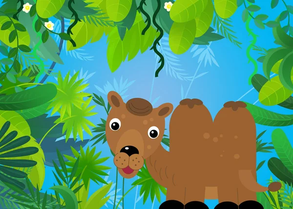 cartoon scene with safari animal camel illustration for kids