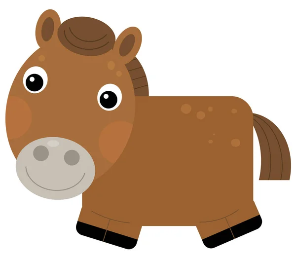 Cartoon happy animal horse stallion pony isolated illustration for kids