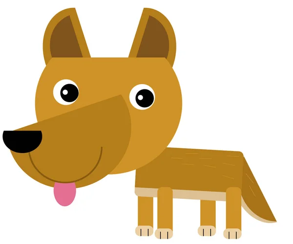 Cartoon Australische Scene Met Dier Dingo Witte Achtergrond Illustratie Voor — Stockfoto