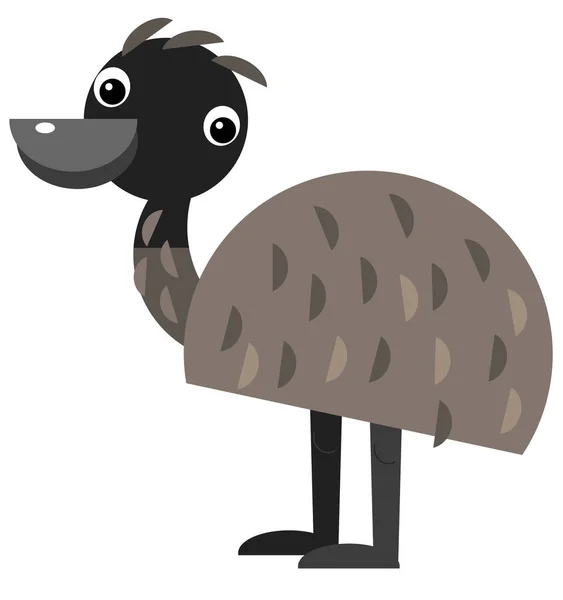 Desenhos Animados Australiano Emu Animal Sobre Fundo Branco Ilustração Para — Fotografia de Stock