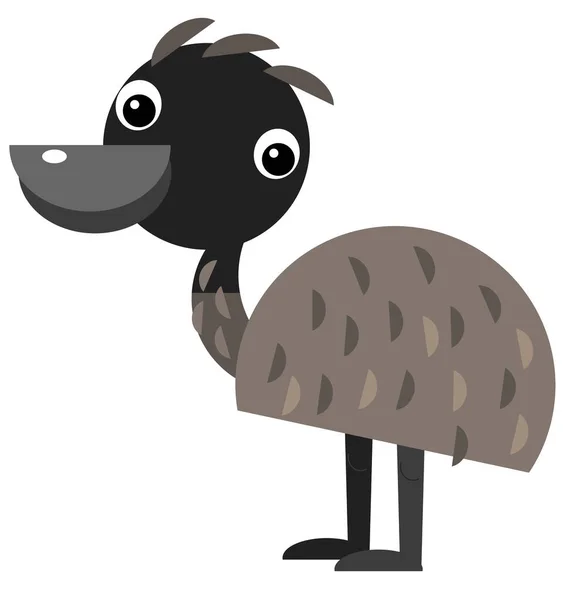 Cartoon Australian Animal Emu White Background Illustration Kids — Stock Photo, Image