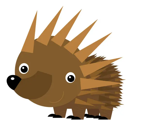 Cartoon Australian Scene Happy Funny Echidna Hedgehog White Background Illustration — Stock Photo, Image