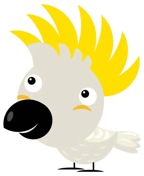Cartoon Asian Animal Bird Cockatoo Safari Isolated Illustration Children — Stock Photo, Image