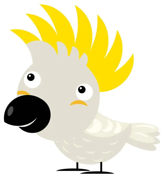 Cartoon Asian Animal Bird Cockatoo Safari Isolated Illustration Children — Stock Photo, Image
