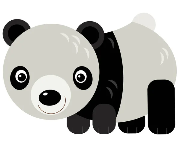 Sarjakuva Aasialainen Kohtaus Panda Karhu Valkoisella Taustalla Kuva Lapsille — kuvapankkivalokuva