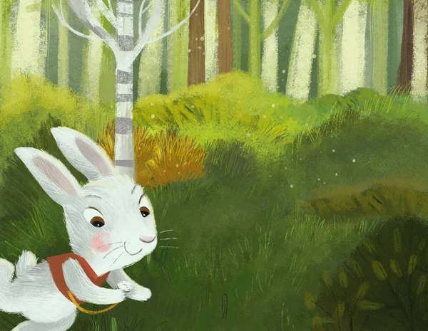 Cartoon Scene Magicaly Looking Meadow Forest Sunny Day Rabbit Bunny — Stock Photo, Image