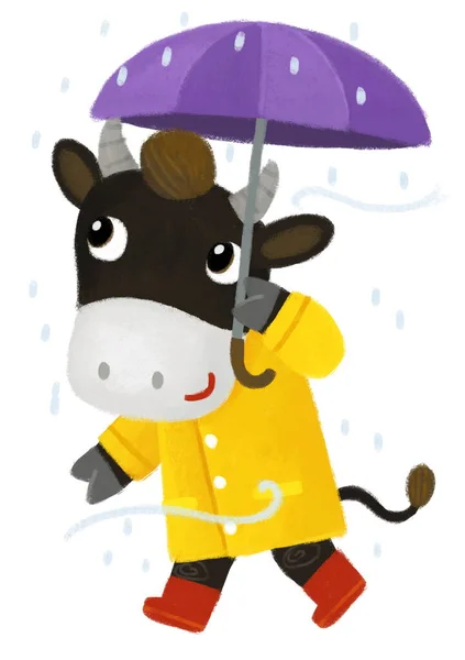 Cartoon Scene Happy Farmer Cow Trip Umbrella Rain Happy Having — Stock Photo, Image