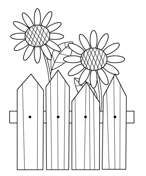 Cartoon Scene Farm Ranch Fence Wooden Sketch Drawing Sunflowers Isolated - Stok İmaj