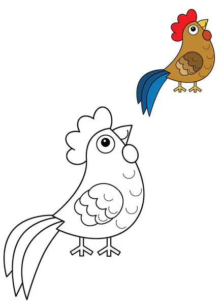Cartoon Happy Farm Animal Rooster Chicken Bird Menjalankan Latar Belakang Stok Foto Bebas Royalti