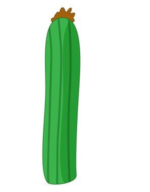 Çöl kaktüsü çiçekli çizgi film sahnesi çocuklar için izole edilmiş vahşi bir illüstrasyon.