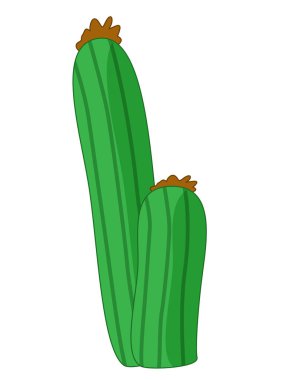 Çöl kaktüsü çiçekli çizgi film sahnesi çocuklar için izole edilmiş vahşi bir illüstrasyon.