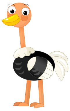 Cartoon happy exotic animal bird ostrich safari isolated illustration for kids clipart