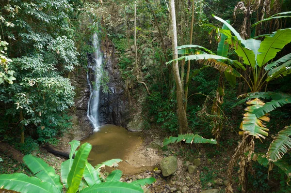 チェンマイ島の森の中に隠された野生のジャングルの滝 空中撮影 — ストック写真
